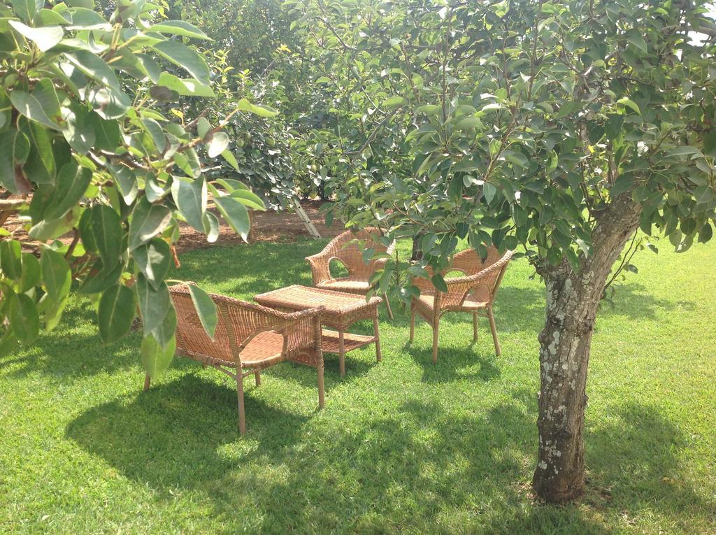 Agriturismo L'Agrumeto 오트란토 외부 사진